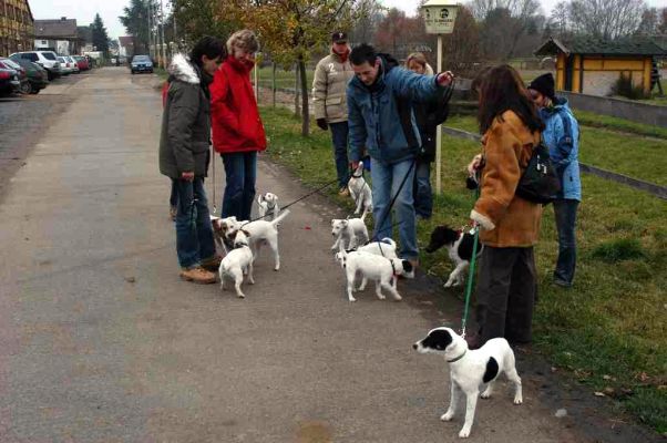 Clicca per immagine full size