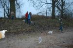DSC_2937.JPG