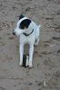DSC_2952.JPG
