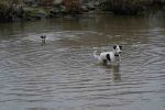 DSC_2963.JPG