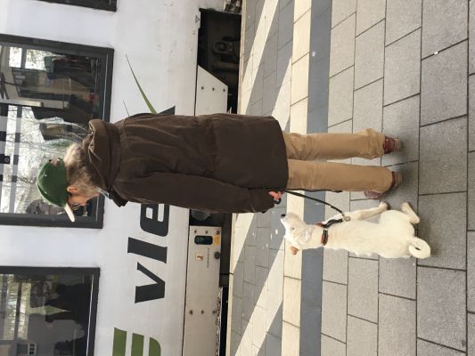 Klicken f�r Bild in voller Gr�sse