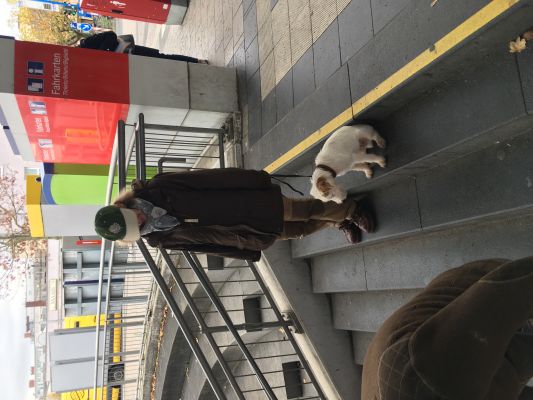 Klikni za sliku u punoj veli�ini