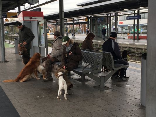 Klikni za ogled ve�je slike