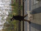 img_4267.jpg