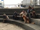 img_4301.jpg