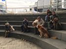 img_4302.jpg