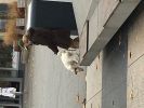 img_4313.jpg