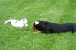 DSC_2123.JPG