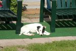 DSC_2048.JPG