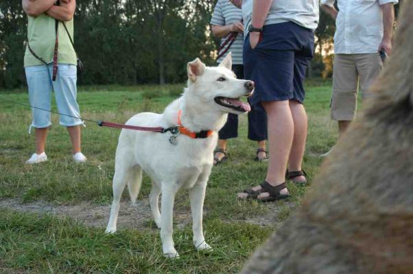 Klikni za sliku u punoj veli�ini