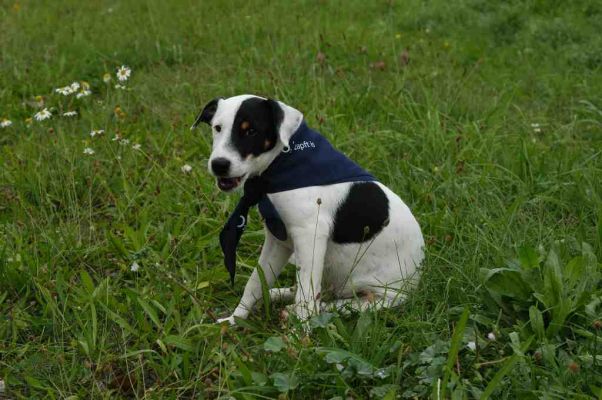 Klikni za ogled ve�je slike
