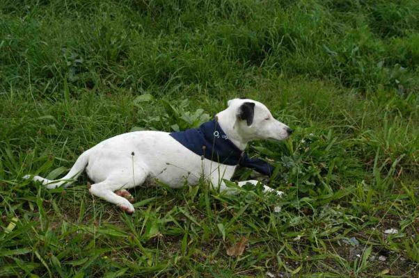 Klikni za ogled ve�je slike