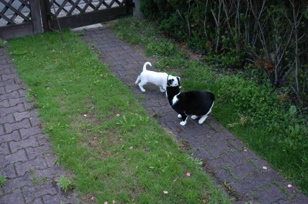 Klik for at se fuld st�rrelse billede