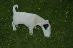 DSC_1347.JPG