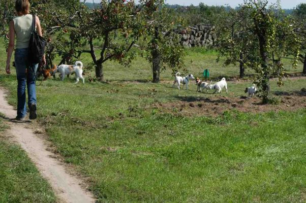 Klikni za ogled ve�je slike