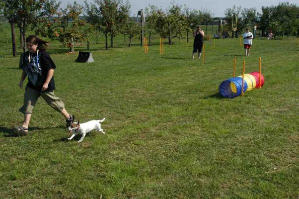 Klikk for � vise bildet i full st�rrelse
