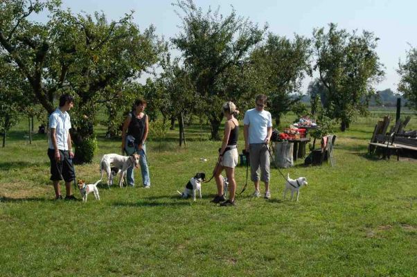 Klik for at se fuld st�rrelse billede