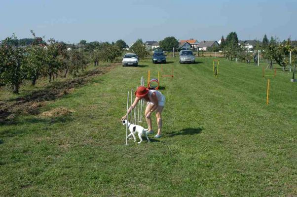 Klikni za ogled ve�je slike