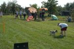 DSC_2423.JPG