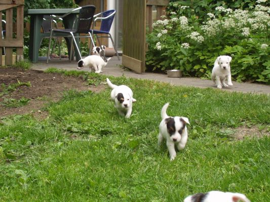 Klik for at se fuld st�rrelse billede