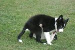 DSC_1966.JPG
