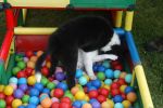 DSC_1972.JPG