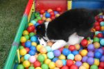 DSC_1973.JPG