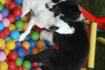 DSC_1992.JPG
