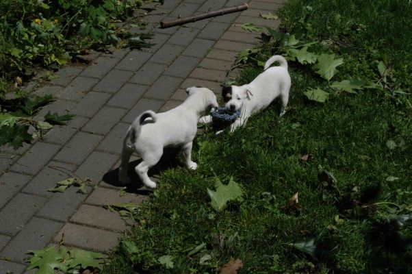 Klik for at se fuld st�rrelse billede