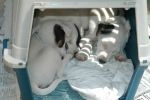 DSC_1284.JPG